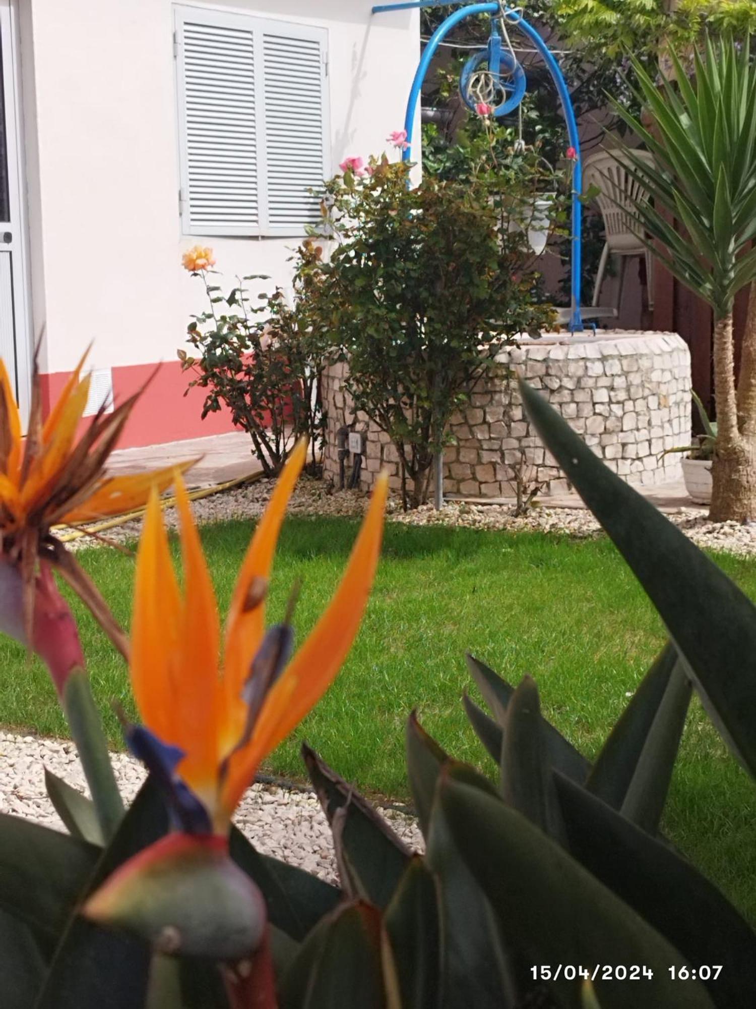 Ranch Lau&Ri Nazare Apartment Cela Velha ภายนอก รูปภาพ